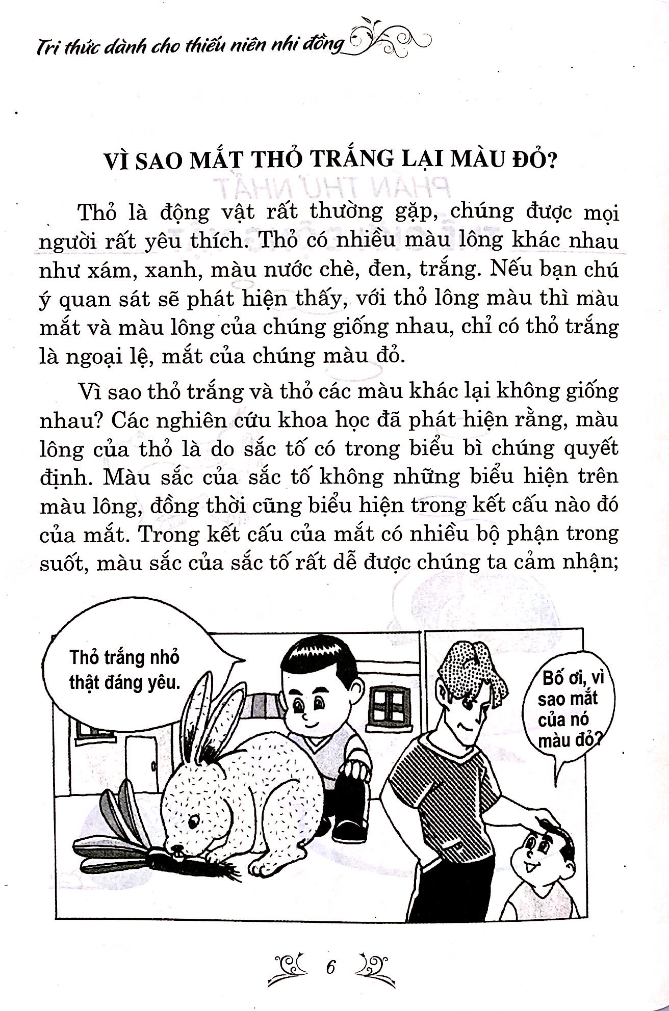 10 vạn câu hỏi vì sao? (tái bản 2023) - Ảnh 4
