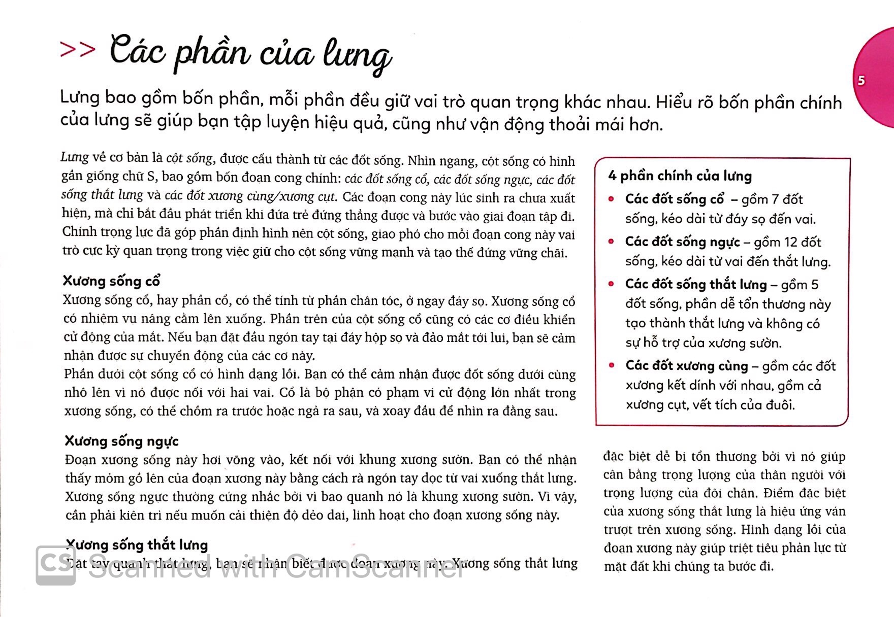 15 phút tập lưng - 15 minute better back workout (kèm dvd) - Ảnh 4