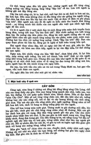 199 bài và đoạn văn hay 9 - Ảnh 10