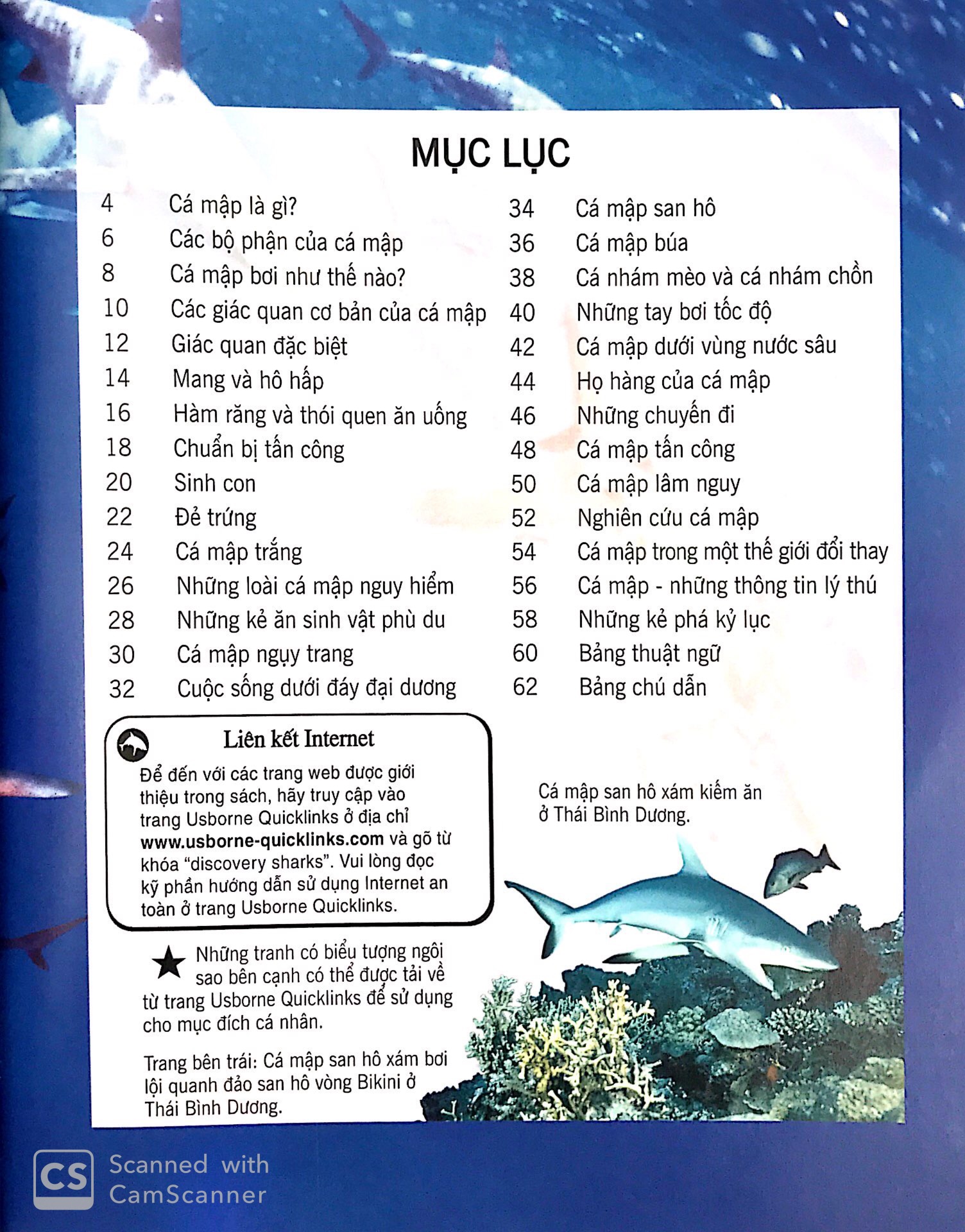 bách khoa tri thức về khám phá thế giới cho trẻ em - cá mập (tái bản 2018) - Ảnh 2