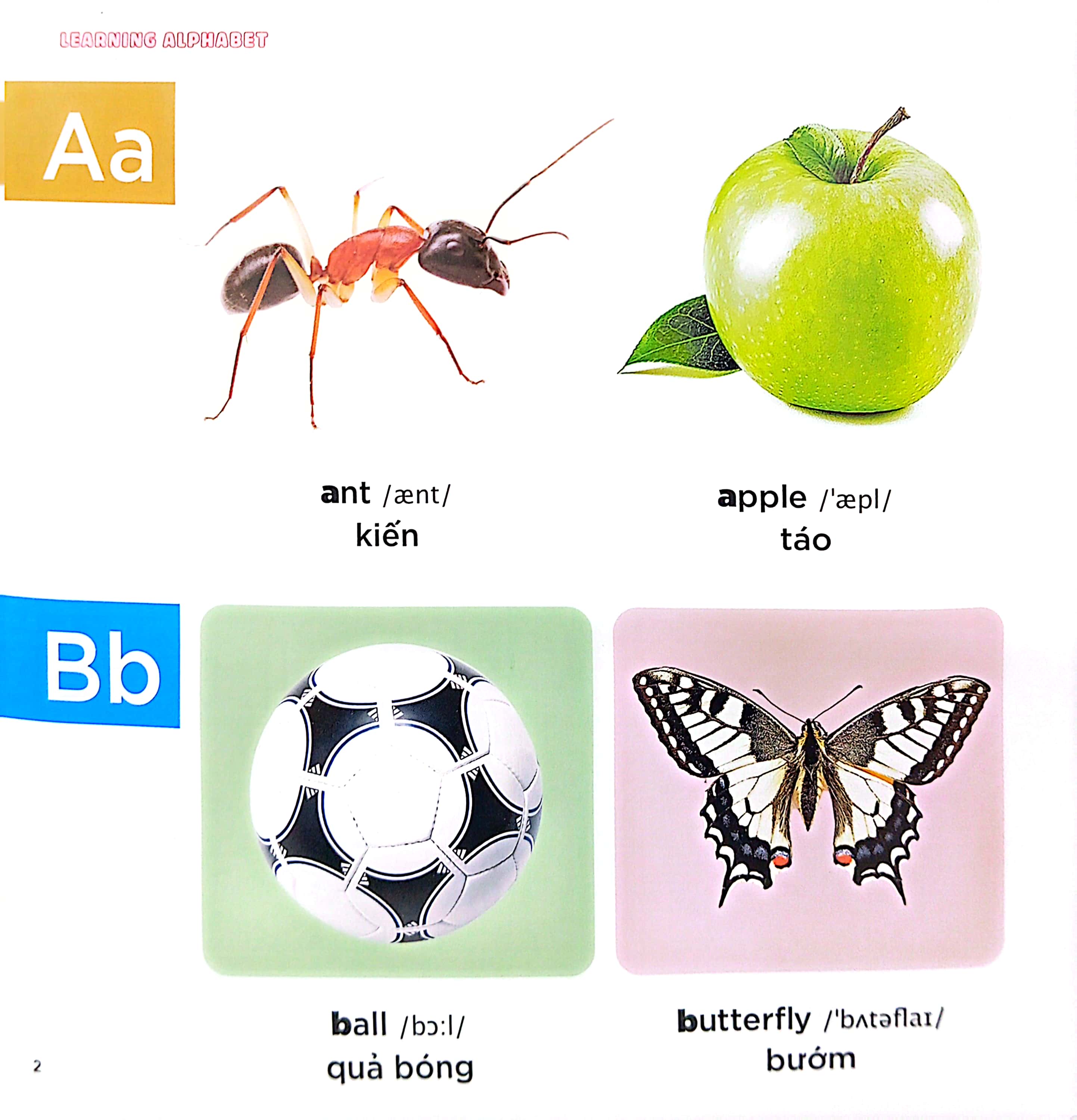 bé học tiếng anh qua hình ảnh - english for children - bảng chữ cái - learning alphabet - Ảnh 3