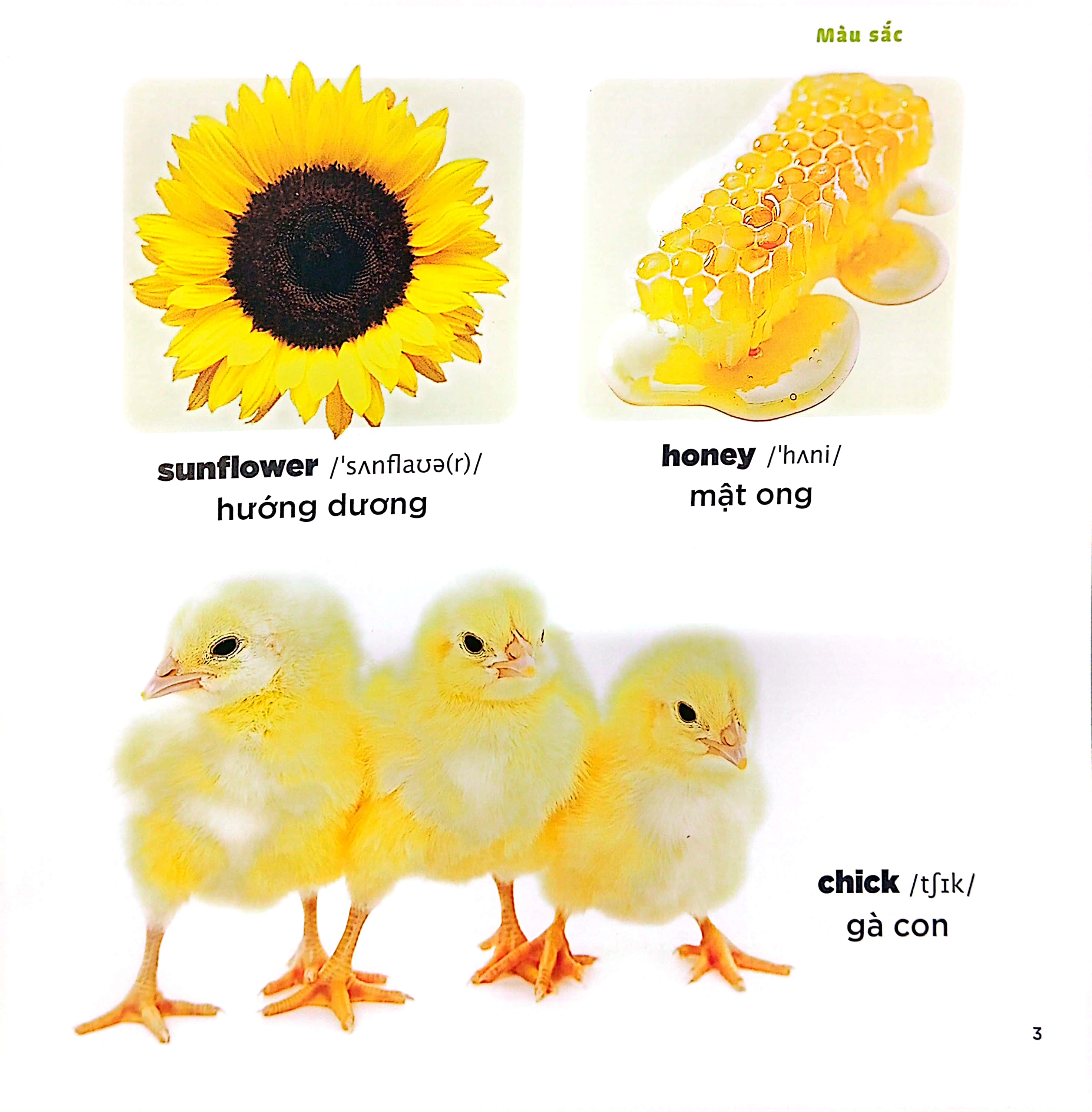 bé học tiếng anh qua hình ảnh - english for children - màu sắc - colours - Ảnh 4
