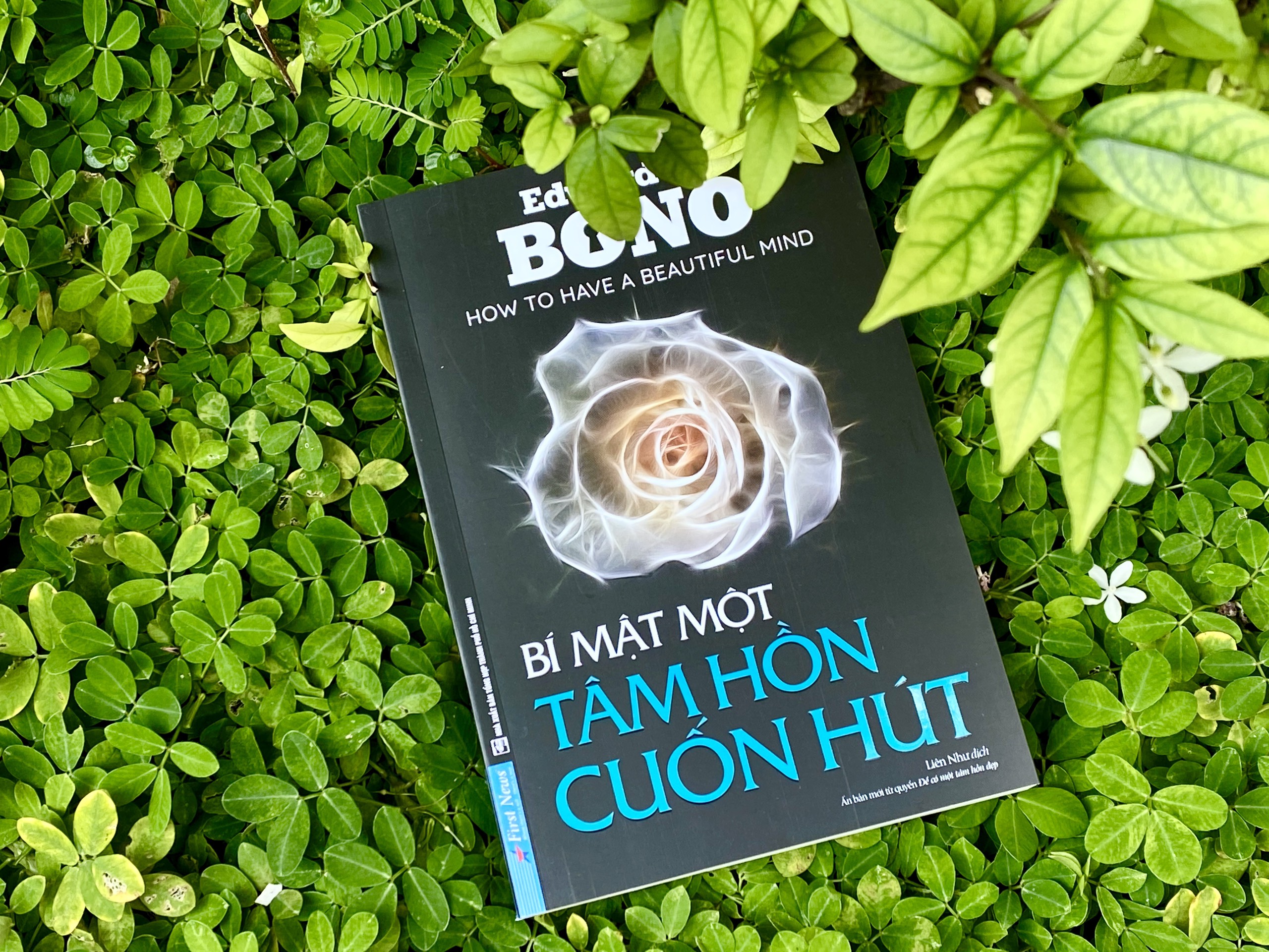 bí mật một tâm hồn cuốn hút - Ảnh 9