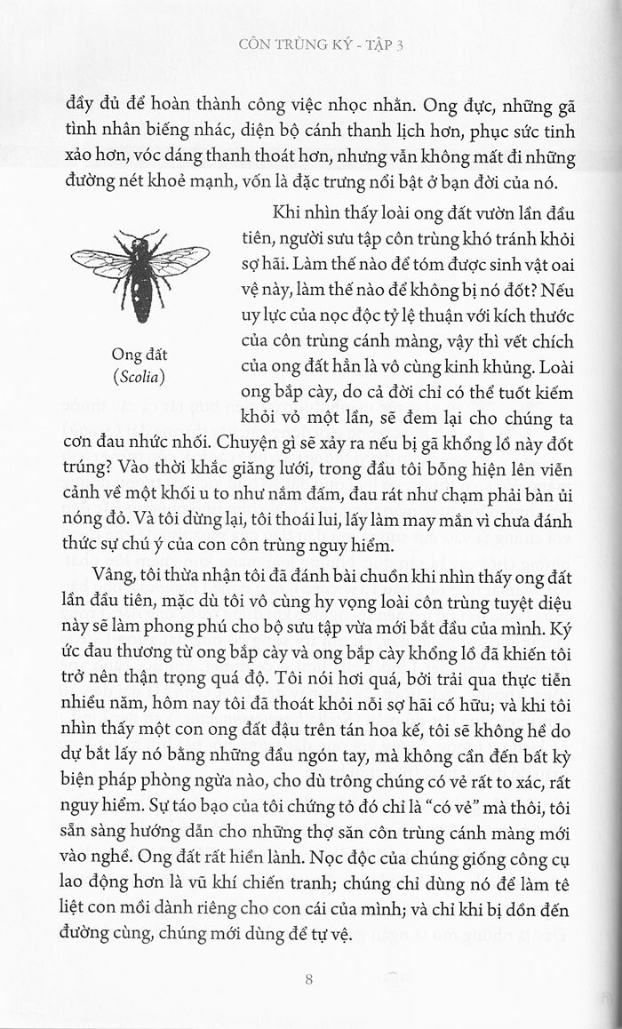 bộ côn trùng ký (ấn bản đầy đủ nhất) - tập 3 - Ảnh 4