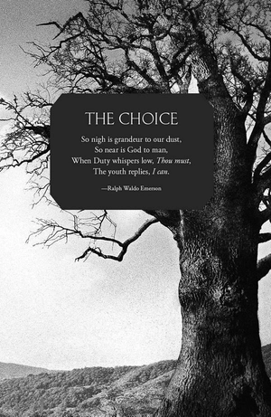 bộ of blood and bone: chronicles of the one, book 2 - Ảnh 7