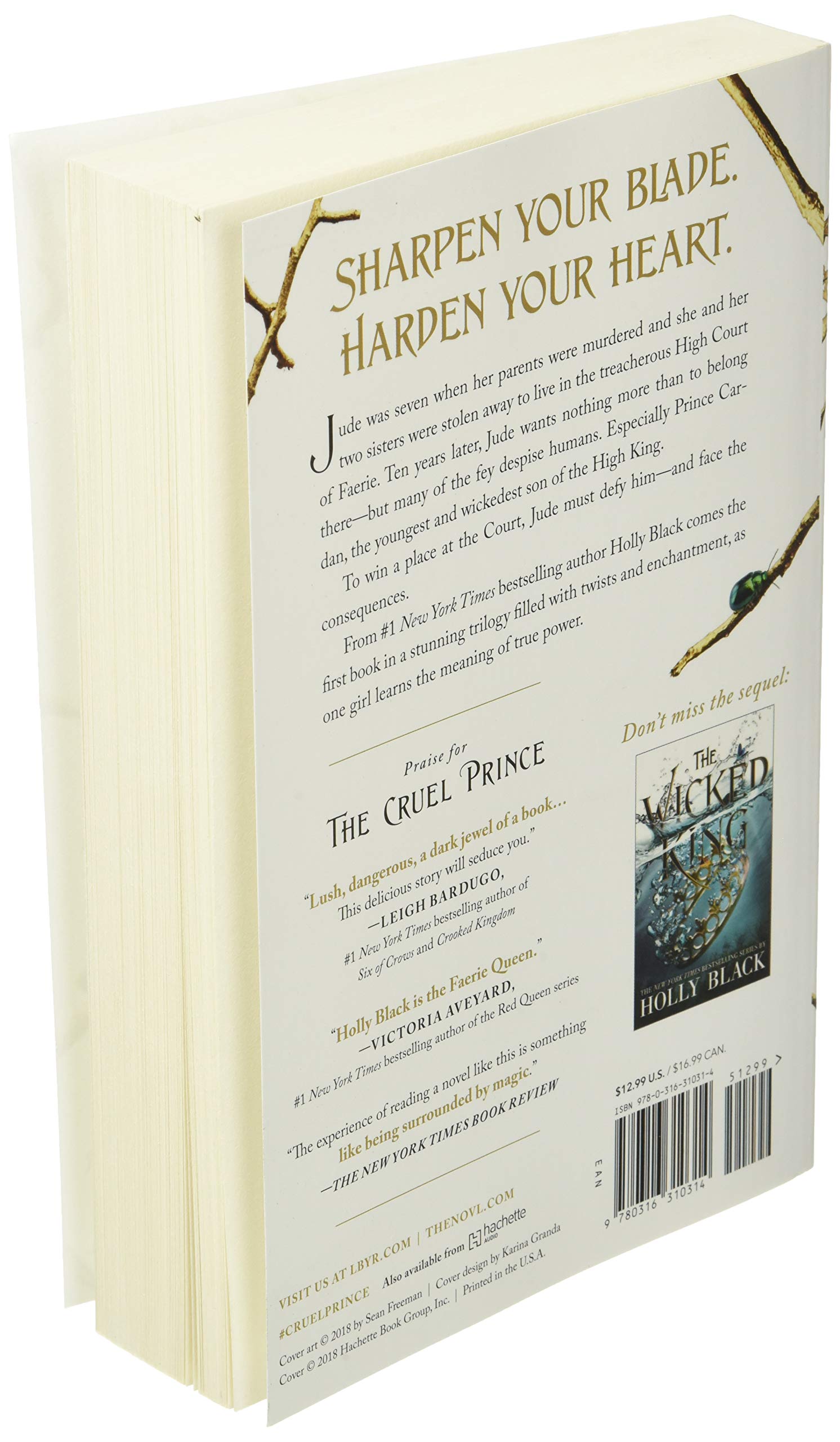 Bộ The Folk Of The Air 1: The Cruel Prince - Ảnh 16