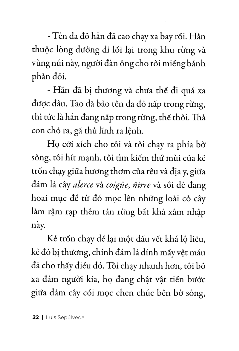 chuyện con chó tên là trung thành - Ảnh 16