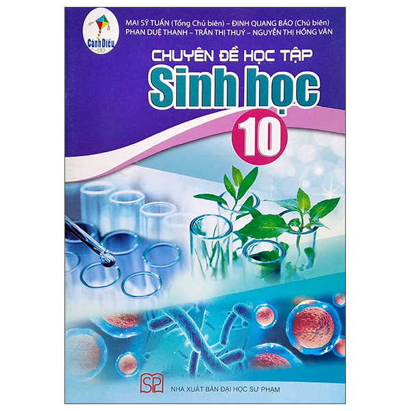 Chuyen De Hoc Tap Lich Su 10 (Canh Dieu) (Chuan) - Ảnh 7