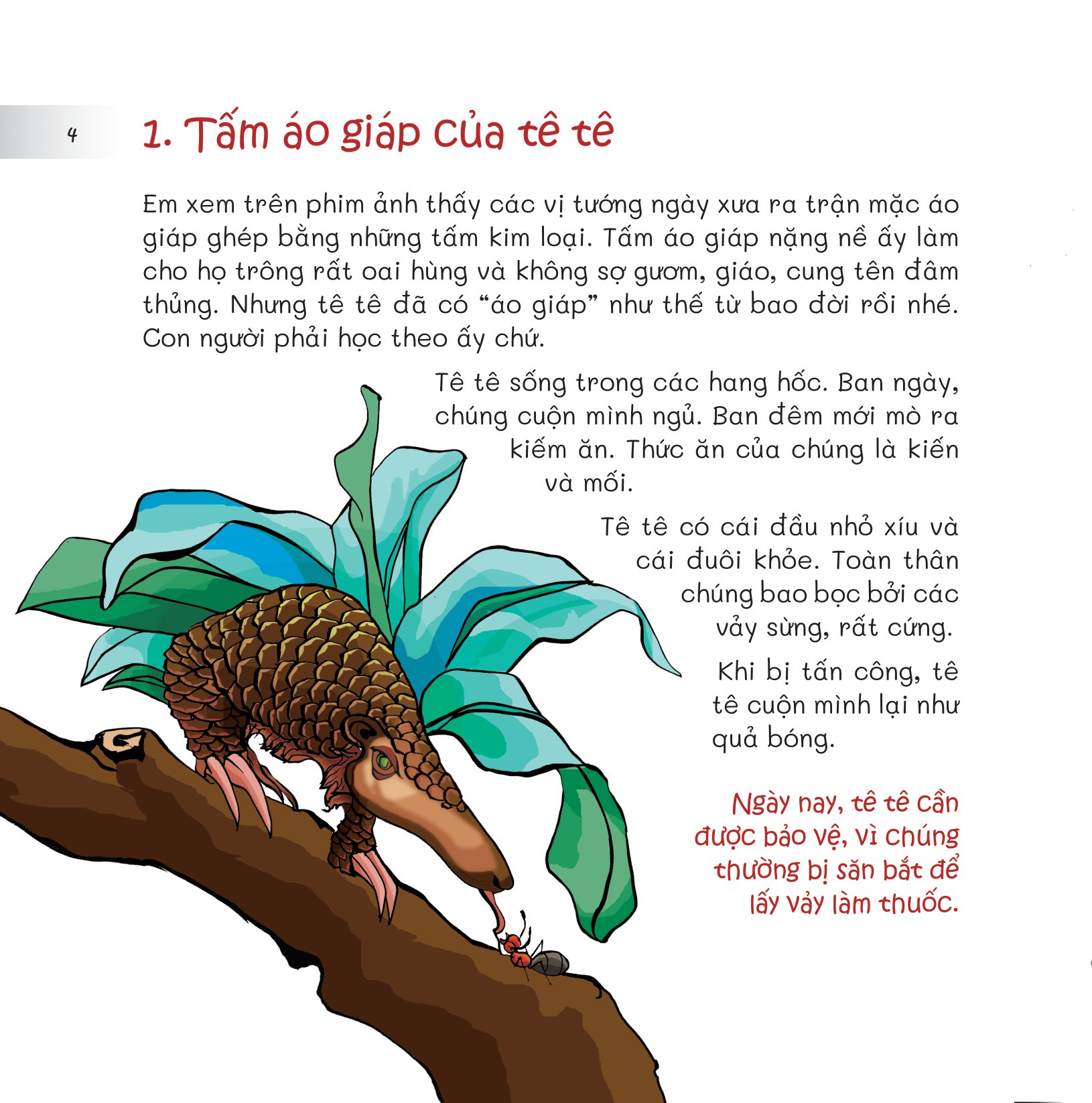 chuyện lạ loài vật - áo giáp, áo lông và cả áo vỏ - Ảnh 6