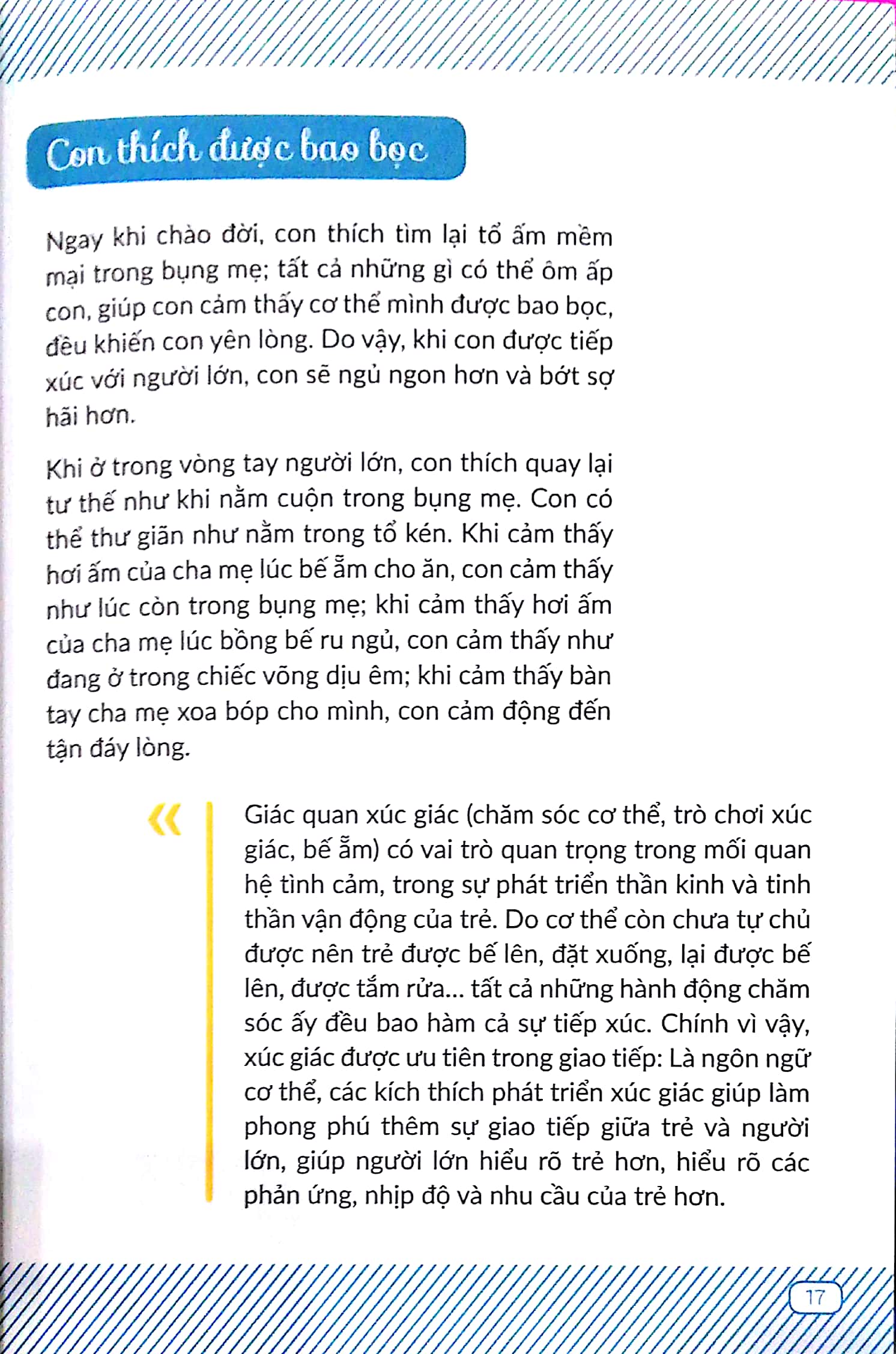chuyến phiêu lưu của những bước đi - Ảnh 3