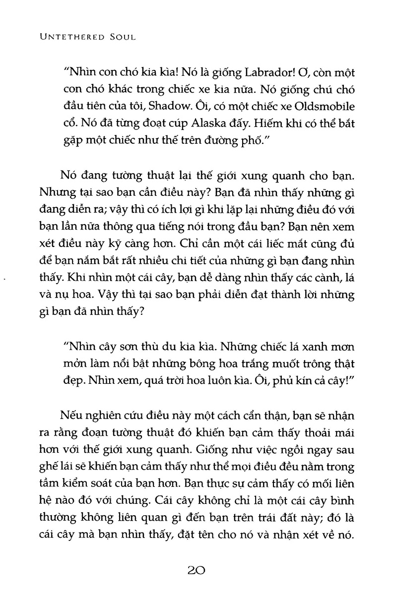 cởi trói linh hồn - cuốn sách giúp người đọc vượt qua giới hạn của chính mình (tái bản 2022) - Ảnh 11