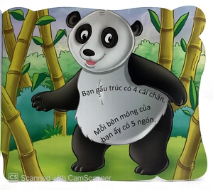 cùng bé yêu khám phá rừng xanh - chúng mình đã biết gì về loài gấu trúc - Ảnh 7