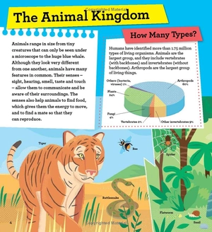 discover it yourself - animals in action - Ảnh 6