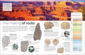eyewitness - fossil - Ảnh 3