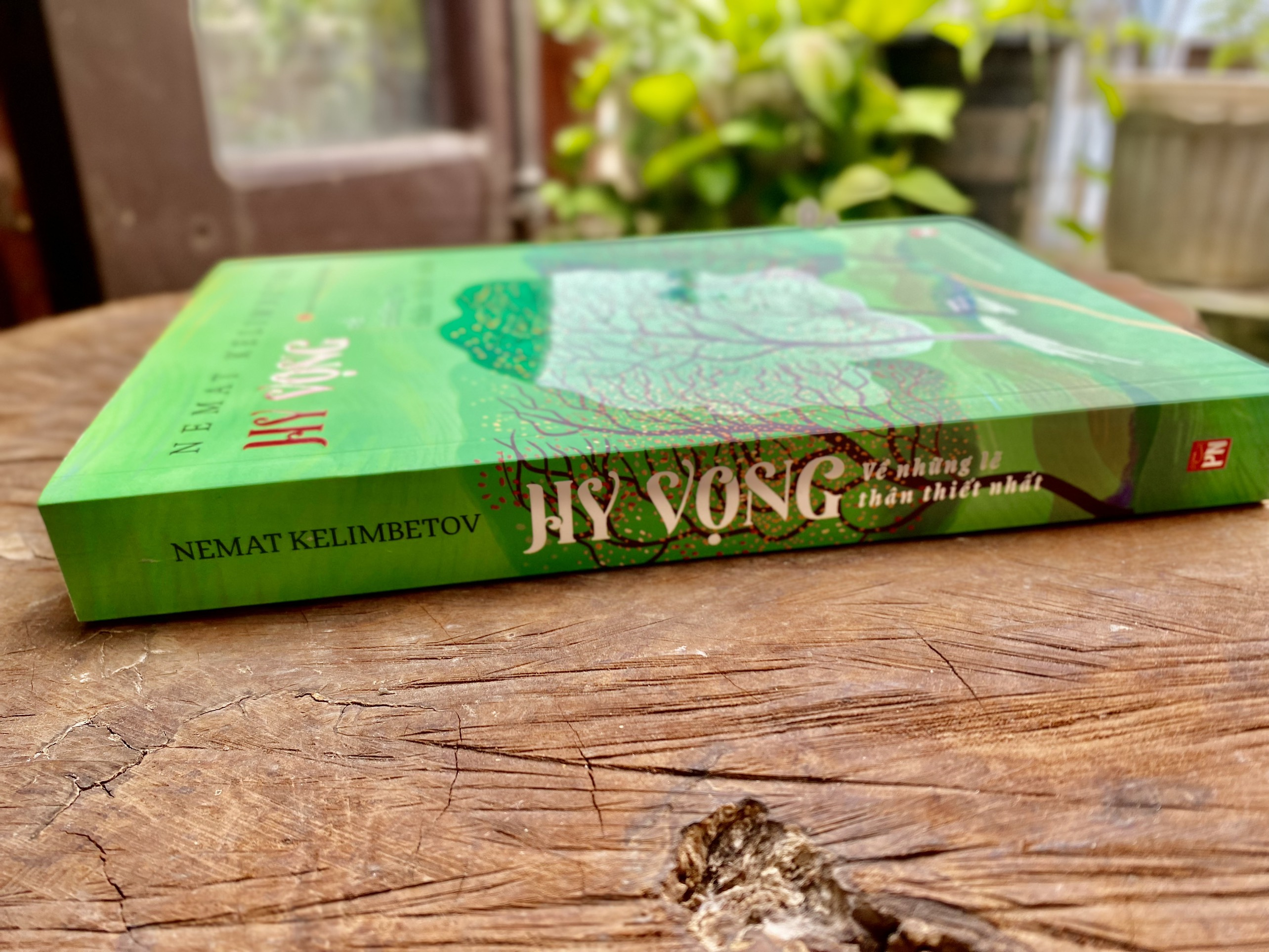 hy vọng về những lẽ thân thiết nhất - Ảnh 3