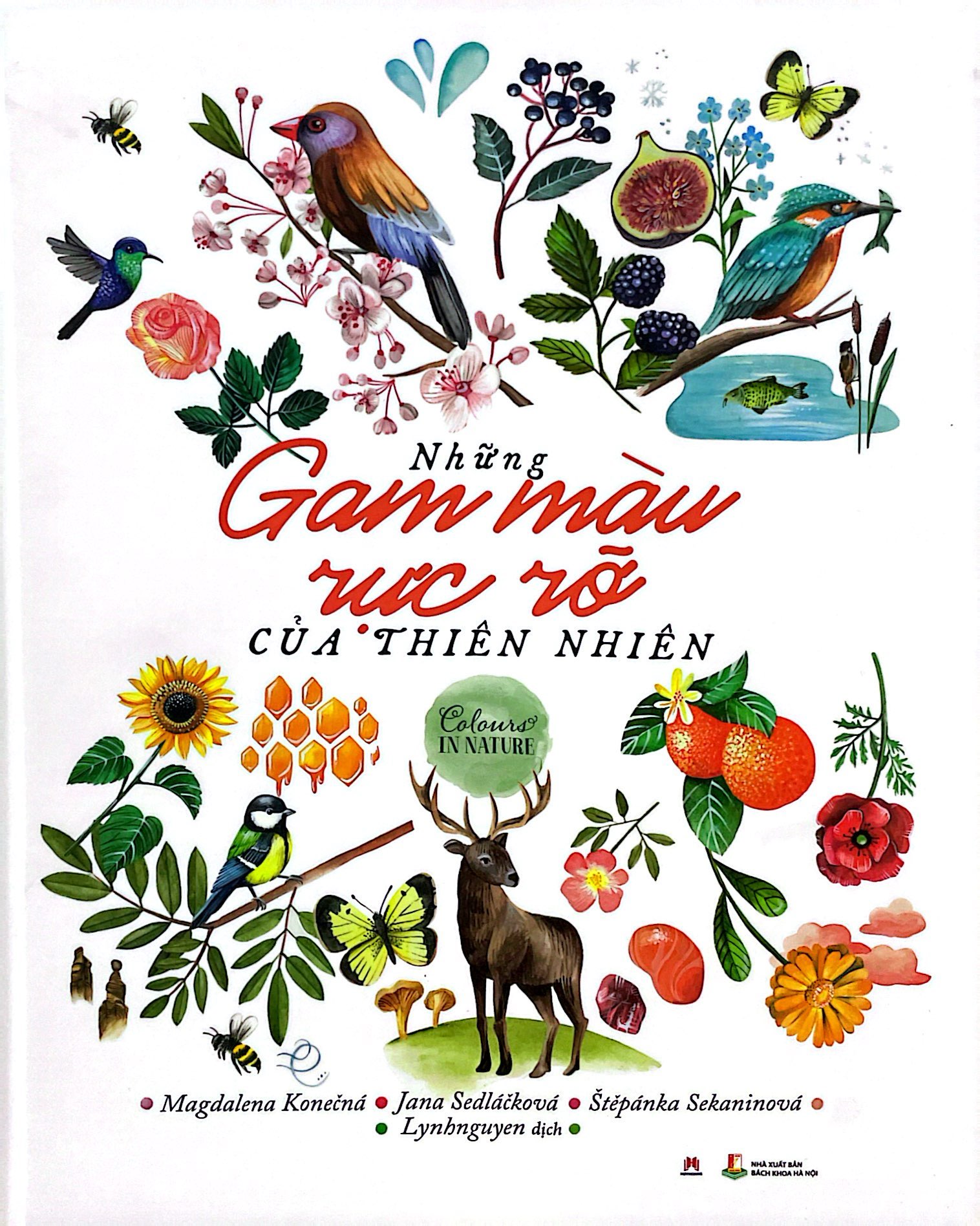 những gam màu rực rỡ của thiên nhiên - Ảnh 2
