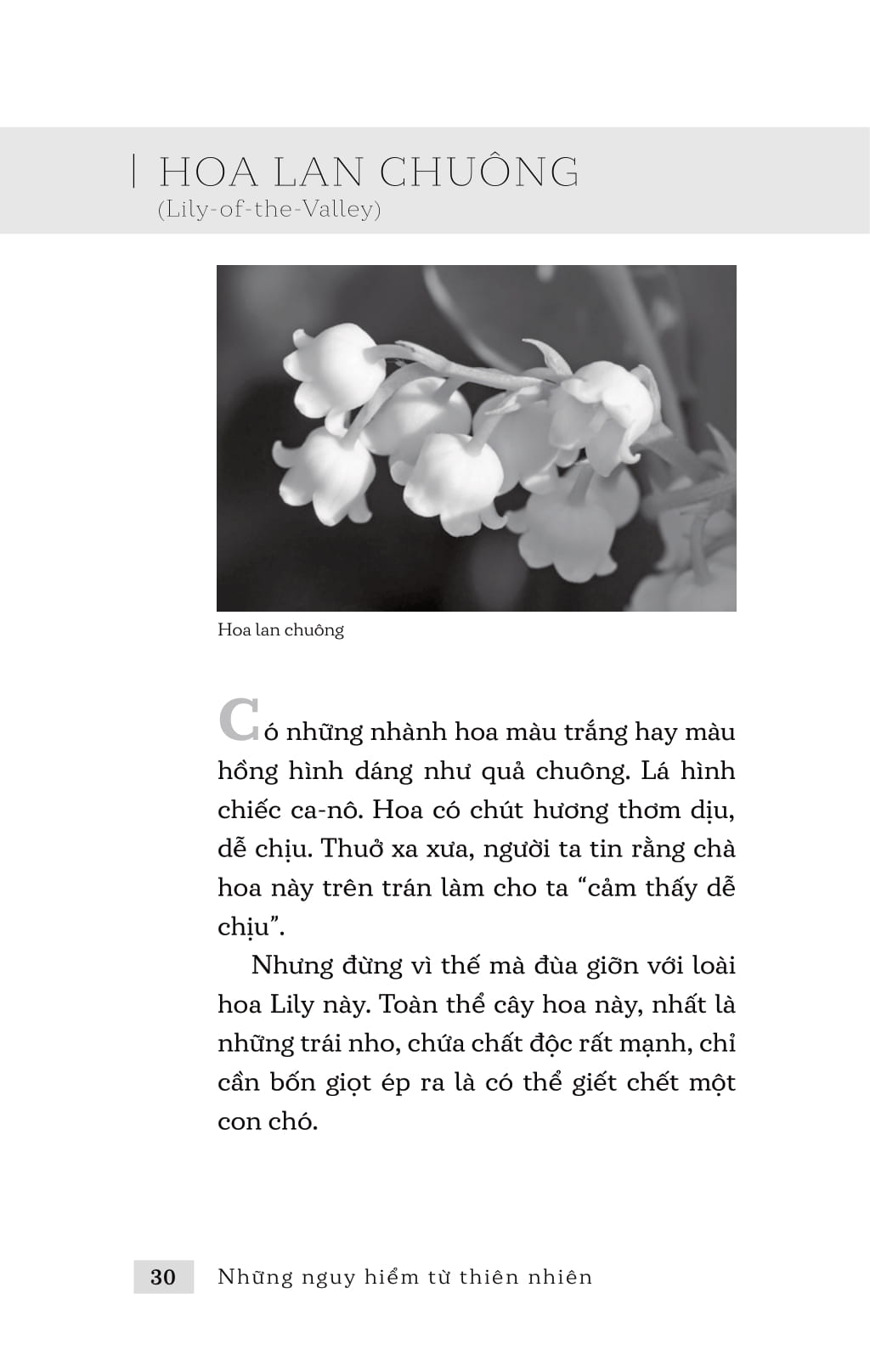 những nguy hiểm từ thiên nhiên - Ảnh 3