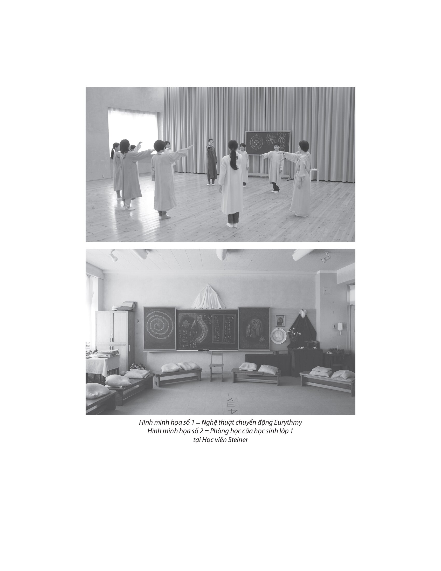 Phương Pháp Giáo Dục Steiner - Ảnh 4