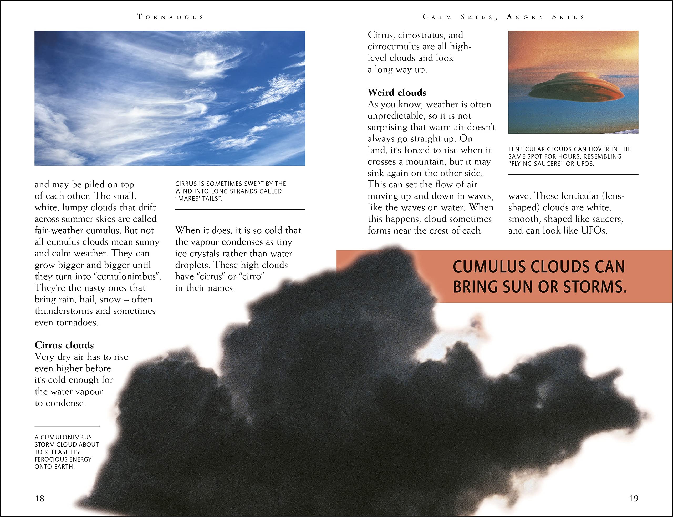 riveting reads for curious kids - tornadoes - Ảnh 4