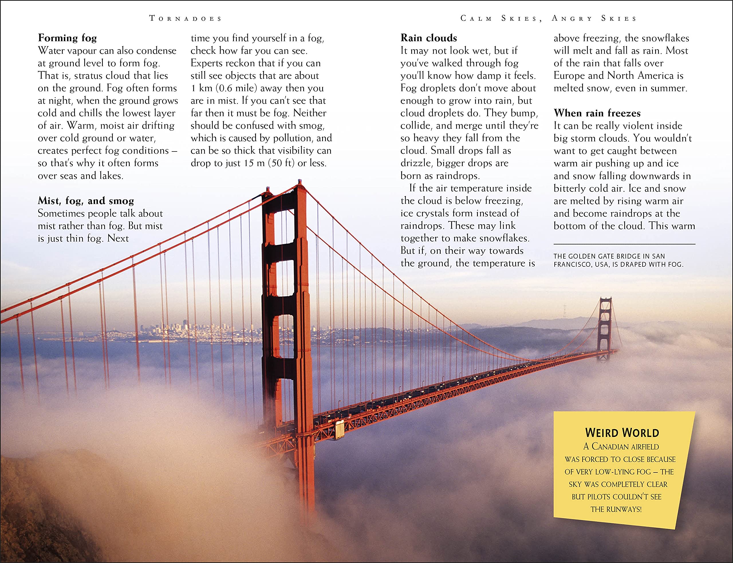 riveting reads for curious kids - tornadoes - Ảnh 6