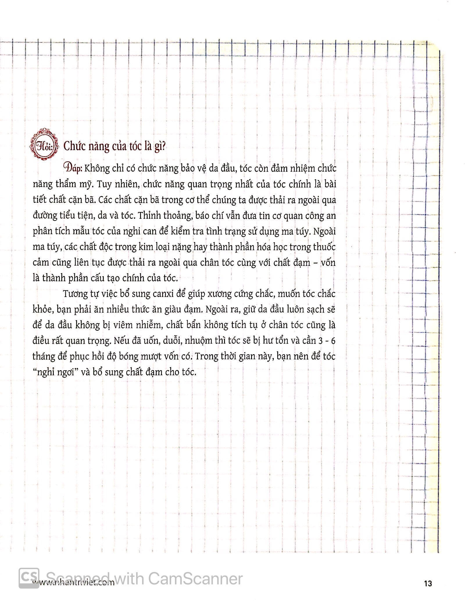sách dạy tạo kiểu tóc - Ảnh 7