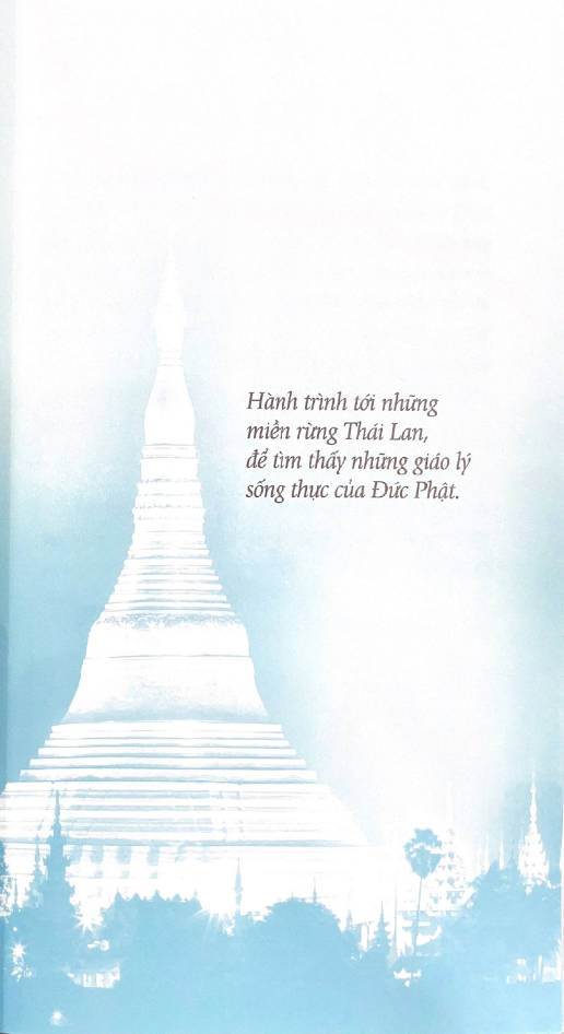 tâm tĩnh lặng (tái bản 2024) - Ảnh 5