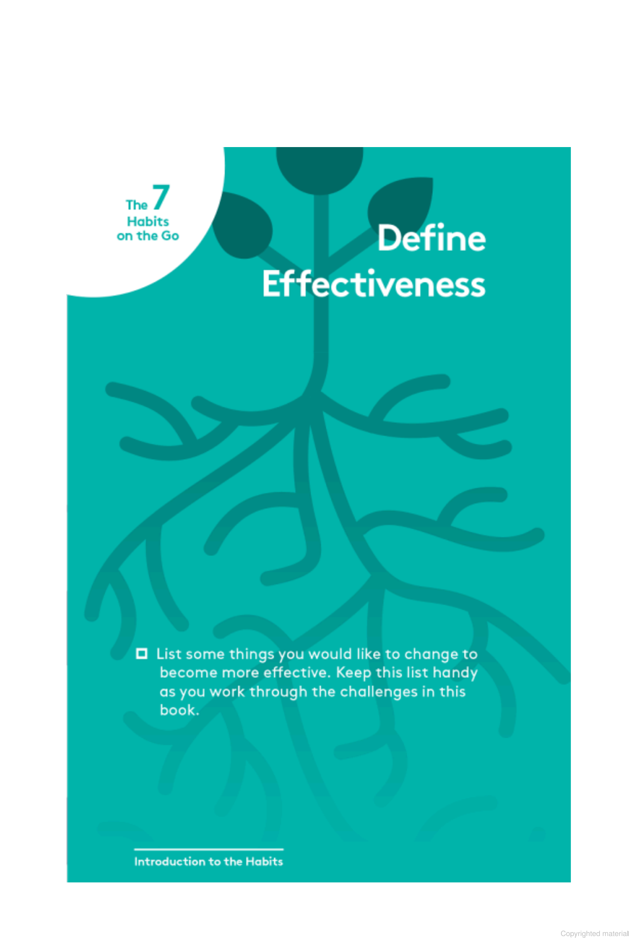 the 7 habits on the go: timeless wisdom for a rapidly changing world - Ảnh 4