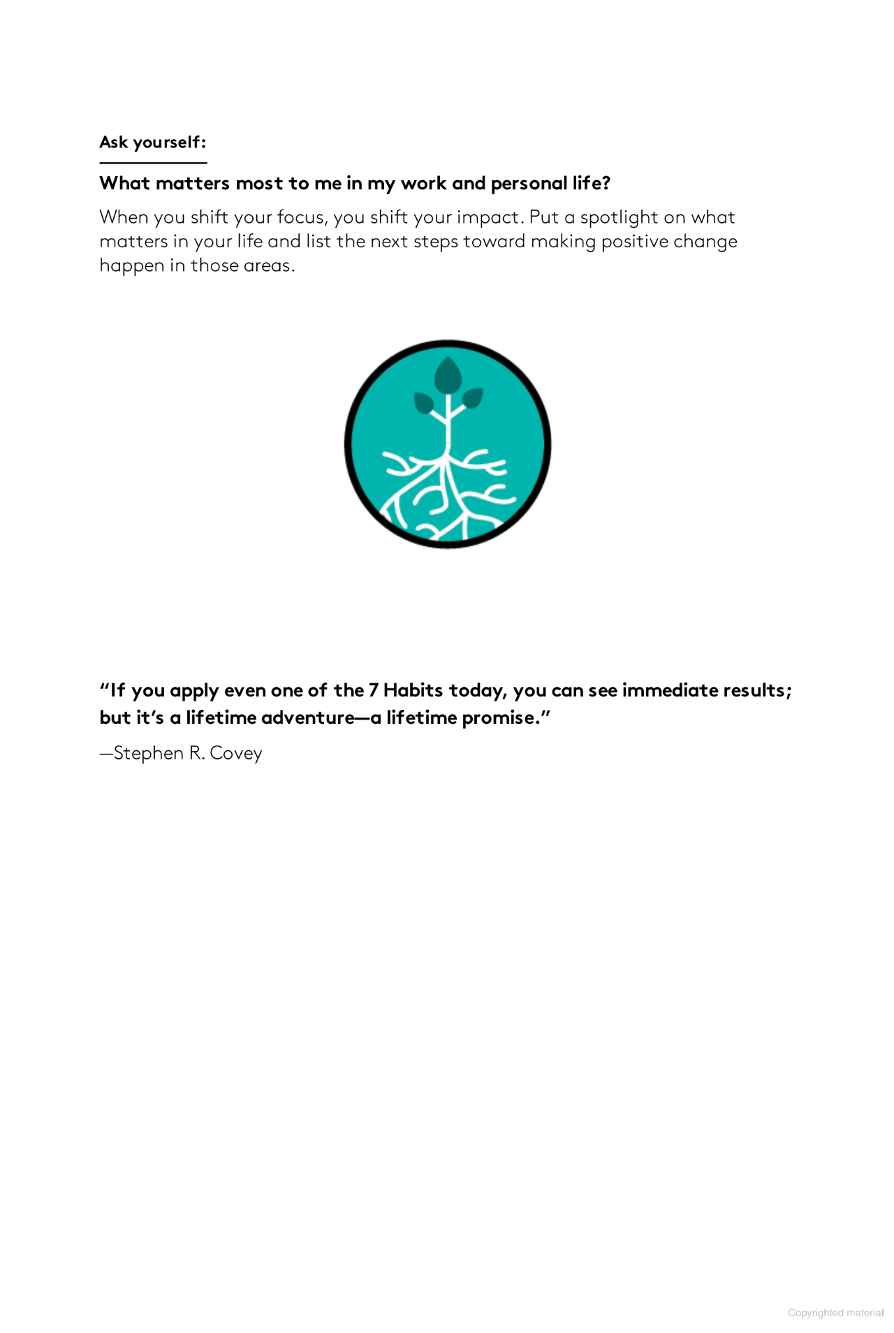 the 7 habits on the go: timeless wisdom for a rapidly changing world - Ảnh 7