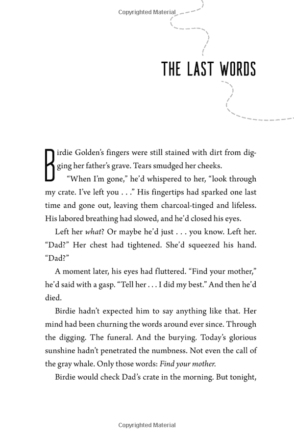 the forgotten five book 1: map of flames - Ảnh 7