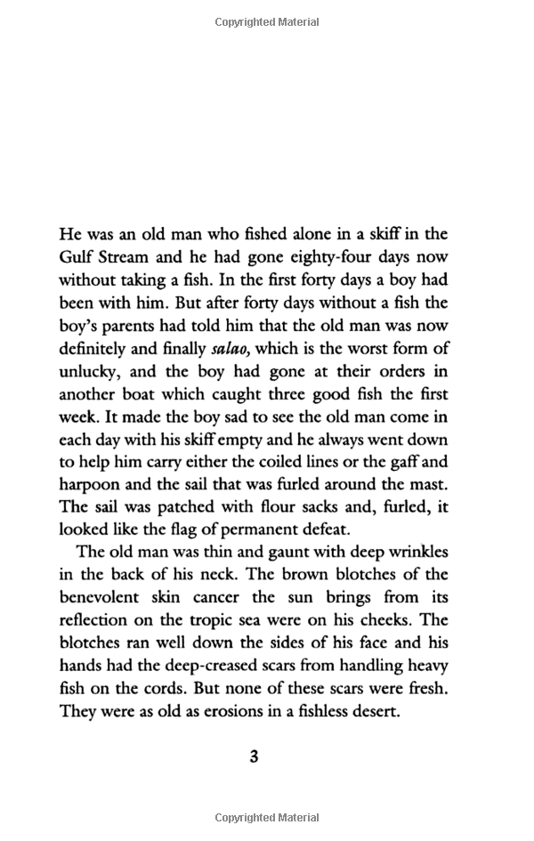 the old man and the sea - Ảnh 8
