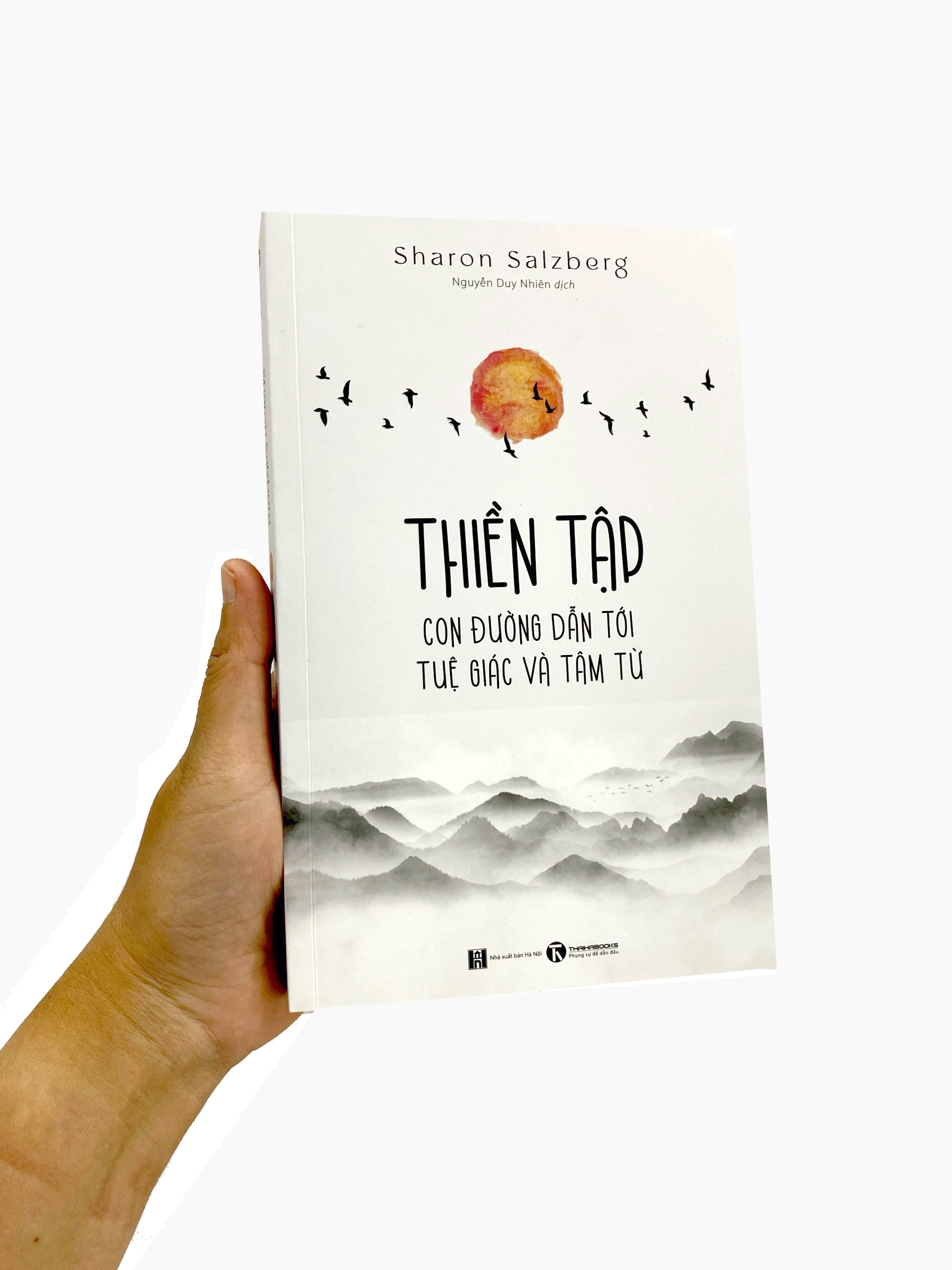 thiền tập - con đường dẫn tới tuệ giác và tâm từ - Ảnh 24