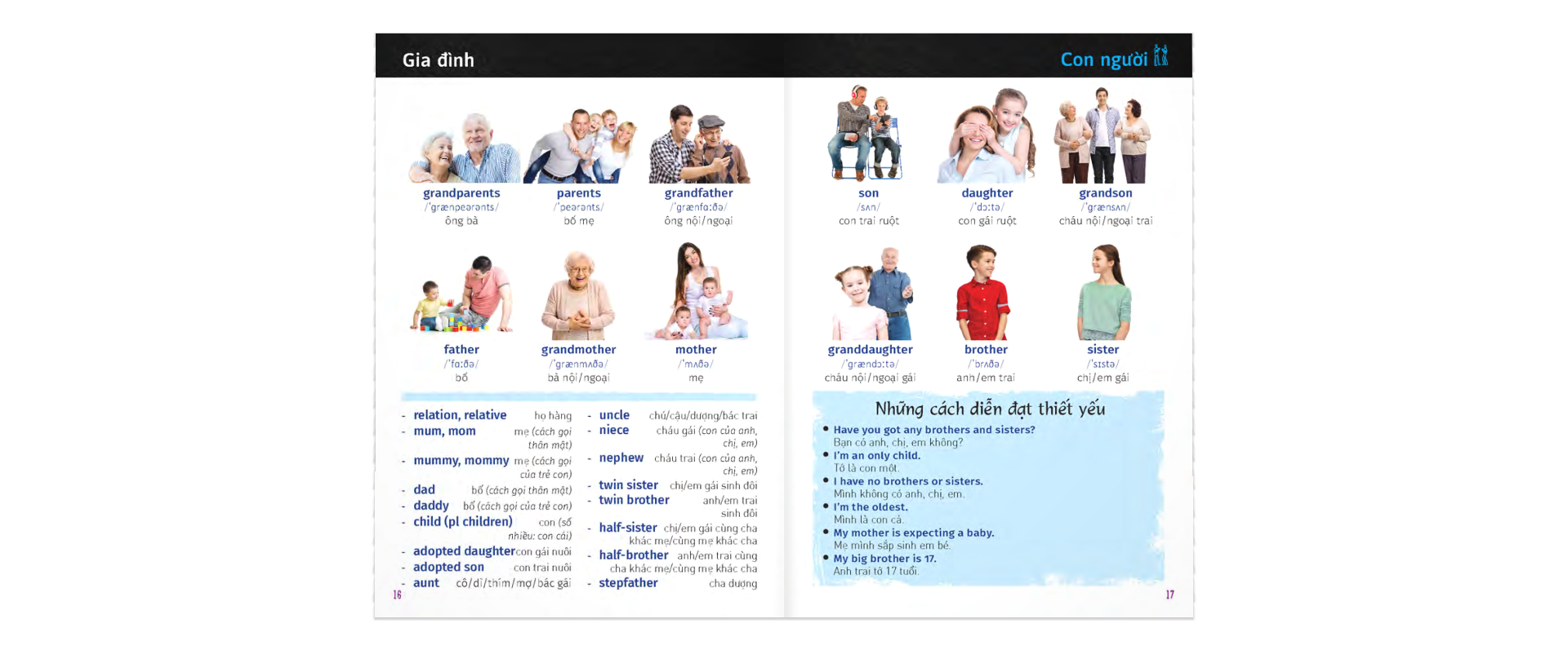 từ điển trực quan bỏ túi anh-việt - Ảnh 10