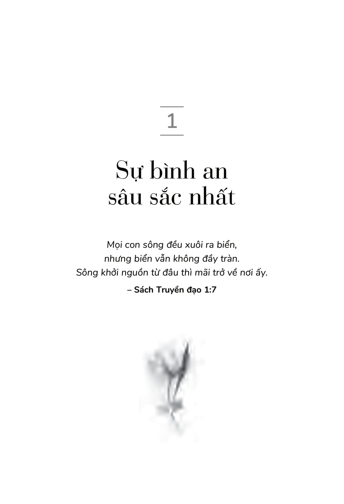 vẻ đẹp của những điều còn lại - Ảnh 4