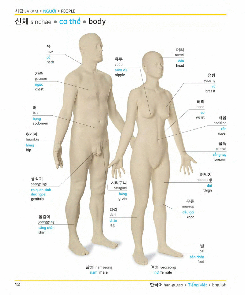 visual korean vietnamese english trilingual dictionary - Ảnh 11