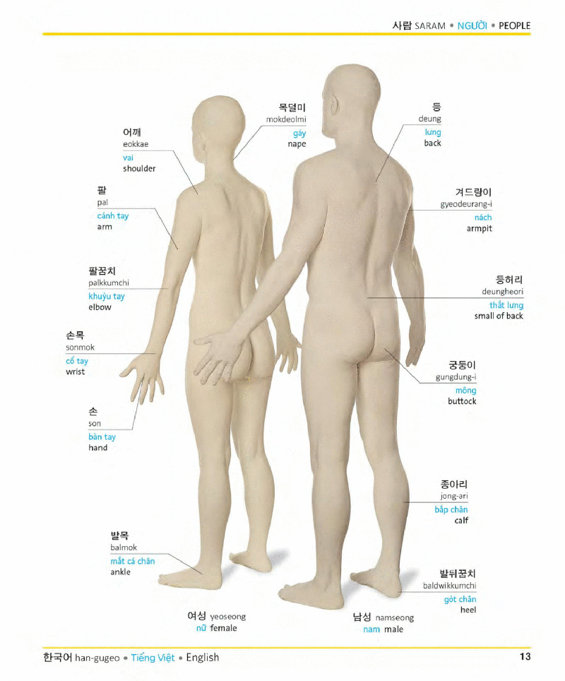 visual korean vietnamese english trilingual dictionary - Ảnh 12