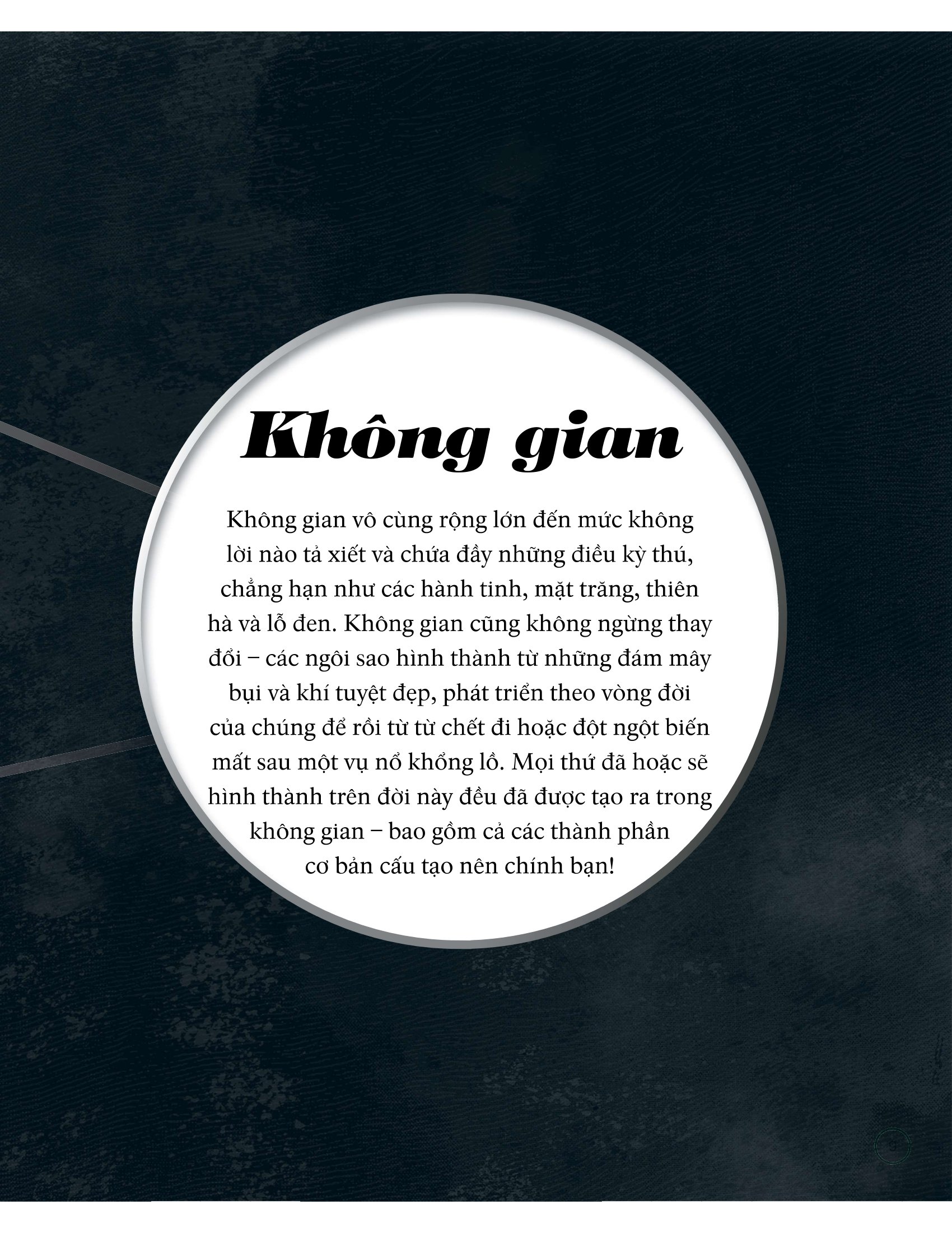 vòng đời - life cycles - Ảnh 12