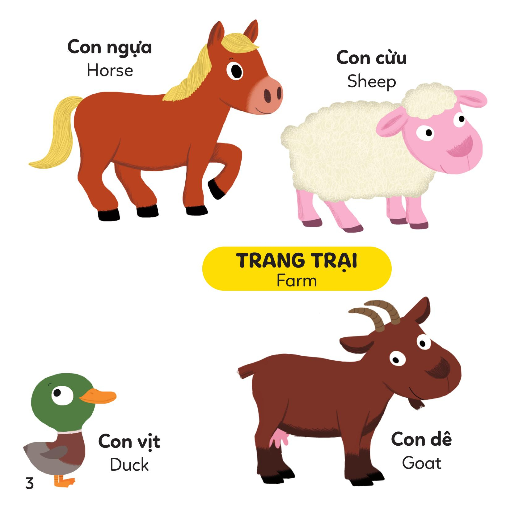 xoay xoay xoay đi tìm - động vật - bìa cứng - Ảnh 3