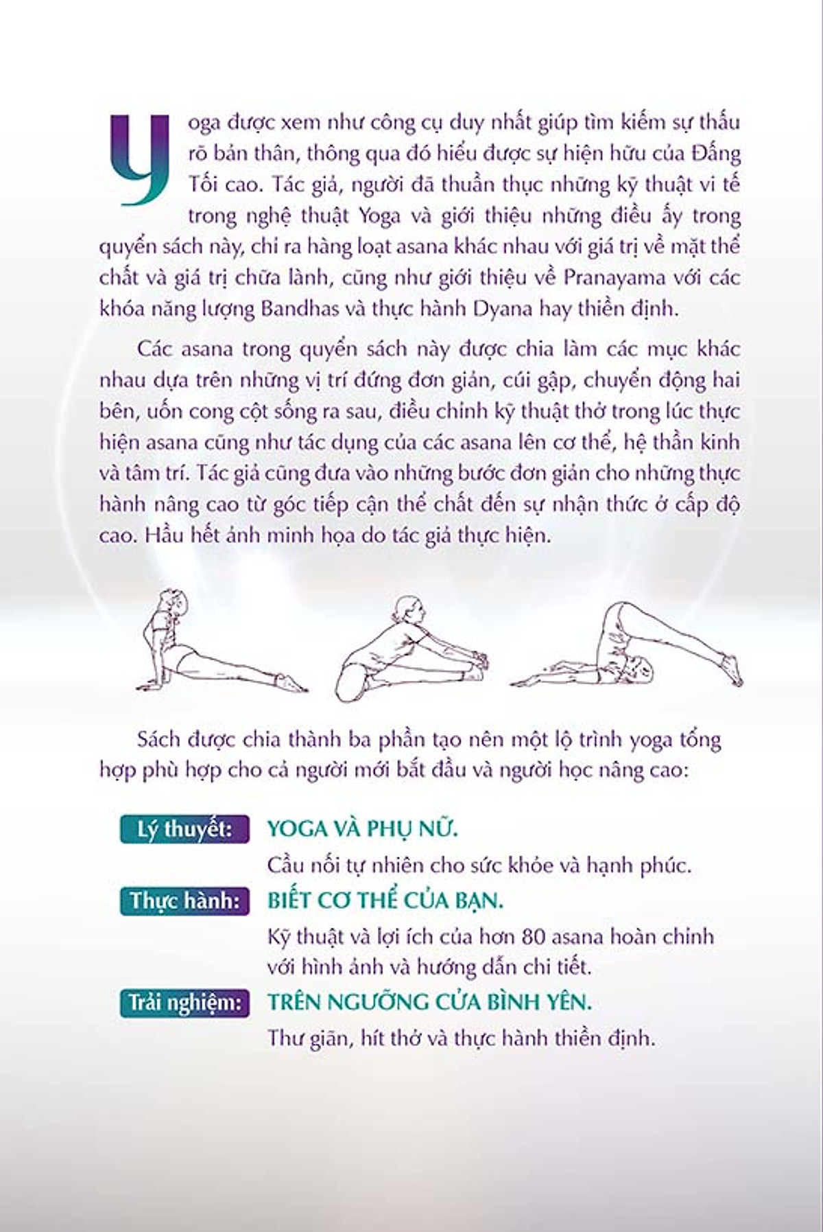yoga - viên ngọc quý của nữ giới - vẻ đẹp thực hành và chuyển hoá sâu sắc - Ảnh 16